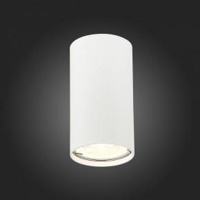 Накладной светильник ST-Luce Simplus ST110.507.01 в Озерске - ozersk.mebel24.online | фото 4