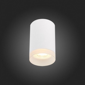 Накладной светильник ST-Luce ST100 ST100.502.01 в Озерске - ozersk.mebel24.online | фото 4