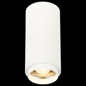 Накладной светильник ST-Luce Zoom ST600.532.10 в Озерске - ozersk.mebel24.online | фото 4