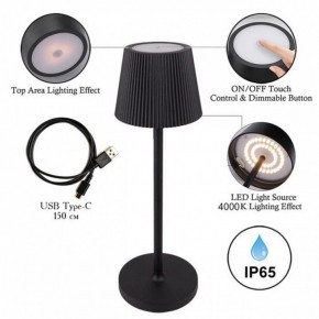 Настольная лампа декоративная Arte Lamp Fuyue A1616LT-1BK в Озерске - ozersk.mebel24.online | фото 3