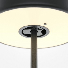 Настольная лампа декоративная Maytoni AI Collaboration MOD229TL-L3B3K2 в Озерске - ozersk.mebel24.online | фото 5