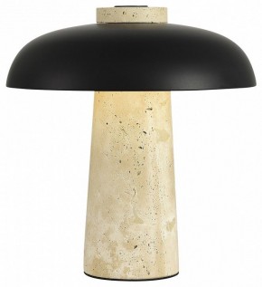 Настольная лампа декоративная ST-Luce Earthy SL1194.424.01 в Озерске - ozersk.mebel24.online | фото 3