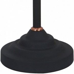 Настольная лампа офисная Arte Lamp Braccio A2054LT-1BK в Озерске - ozersk.mebel24.online | фото 4