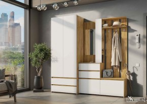 НЕКСТ 1 Вешалка с зеркалом + Шкаф 2-х ств. с ящиками в Озерске - ozersk.mebel24.online | фото