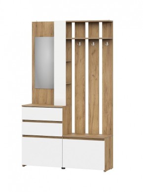 НЕКСТ 1 Вешалка с зеркалом + Шкаф 2-х ств. с ящиками в Озерске - ozersk.mebel24.online | фото 4