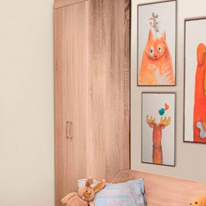 НИКА Н8 Шкаф для одежды и белья в Озерске - ozersk.mebel24.online | фото 4