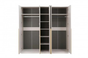 НИКОЛЬ 25 Шкаф 5-ти створчатый в Озерске - ozersk.mebel24.online | фото 3