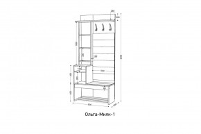 ОЛЬГА-МИЛК Прихожая (модульная) в Озерске - ozersk.mebel24.online | фото 2