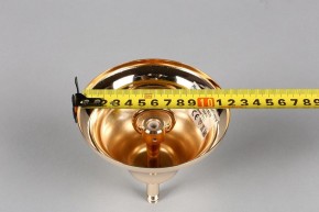 Подвесная люстра Aployt Daniele APL.701.03.12 в Озерске - ozersk.mebel24.online | фото 6