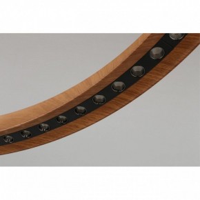 Подвесная люстра Aployt Justyna APL.787.03.75 в Озерске - ozersk.mebel24.online | фото 10