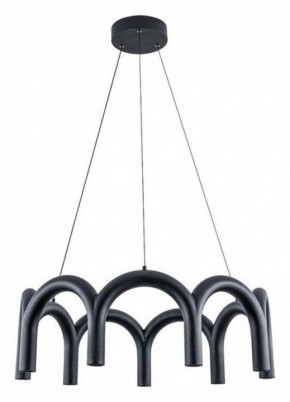 Подвесная люстра Arte Lamp Warhol A3258LM-45BK в Озерске - ozersk.mebel24.online | фото 2