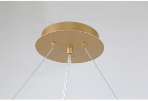 Подвесная люстра Favourite Ginkoa 4080-10P в Озерске - ozersk.mebel24.online | фото 9