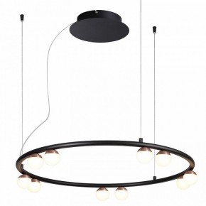 Подвесная люстра Favourite Knopp 4320-10P в Озерске - ozersk.mebel24.online | фото 2