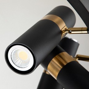 Подвесная люстра Favourite Light point 2997-9P в Озерске - ozersk.mebel24.online | фото 5