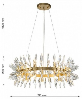 Подвесная люстра Favourite Rays 4058-14P в Озерске - ozersk.mebel24.online | фото 7
