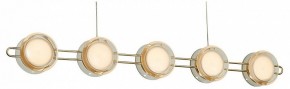 Подвесная люстра Favourite Yo-yo 4334-10P в Озерске - ozersk.mebel24.online | фото