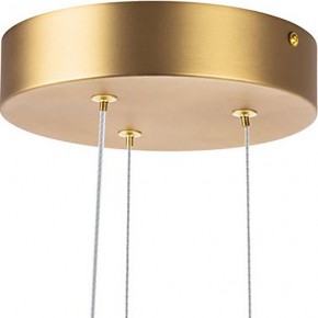 Подвесная люстра Lightstar Bergamo 745247 в Озерске - ozersk.mebel24.online | фото 6