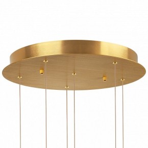 Подвесная люстра Lightstar Colore 805169 в Озерске - ozersk.mebel24.online | фото 6