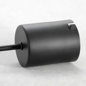 Подвесная люстра Lussole Duncan GRLSP-8252 в Озерске - ozersk.mebel24.online | фото 4