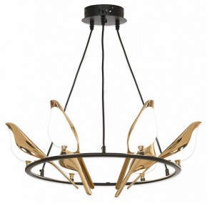 Подвесная люстра Lussole Jasper LSP-8641 в Озерске - ozersk.mebel24.online | фото 4