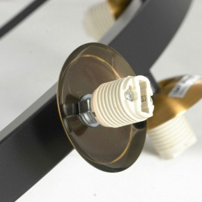 Подвесная люстра Lussole LSP-875 LSP-8750 в Озерске - ozersk.mebel24.online | фото 6