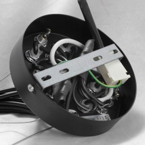 Подвесная люстра Lussole Seneca GRLSP-8177 в Озерске - ozersk.mebel24.online | фото 10