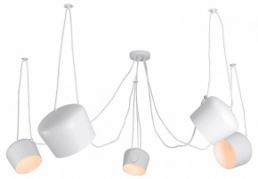 Подвесная люстра Lussole Shirley LSP-8175 в Озерске - ozersk.mebel24.online | фото