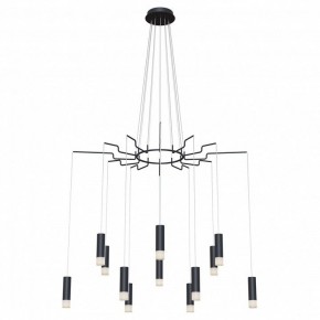 Подвесная люстра Maytoni Davida MOD035PL-12B в Озерске - ozersk.mebel24.online | фото 2