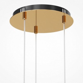 Подвесная люстра Maytoni Drop MOD273PL-L33G3K в Озерске - ozersk.mebel24.online | фото 6