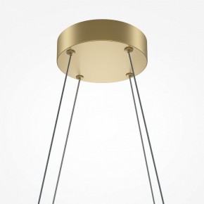 Подвесная люстра Maytoni Halo MOD244PL-L50BSK в Озерске - ozersk.mebel24.online | фото 4