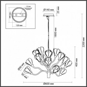 Подвесная люстра Odeon Light Gardi 5090/15 в Озерске - ozersk.mebel24.online | фото 6