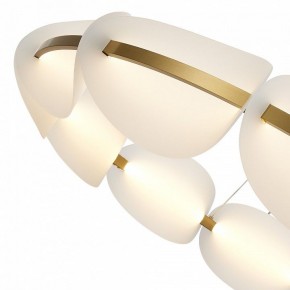 Подвесная люстра ST-Luce Etoile SL1304.203.65 в Озерске - ozersk.mebel24.online | фото 6
