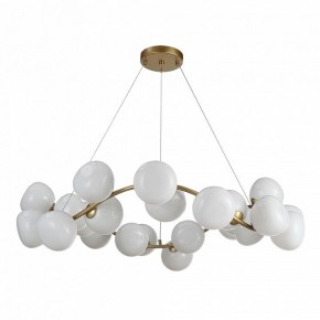Подвесная люстра ST-Luce Sweven SL1519.303.24 в Озерске - ozersk.mebel24.online | фото 2