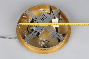 Подвесной светильник Aployt Janina APL.018.13.60 в Озерске - ozersk.mebel24.online | фото 11