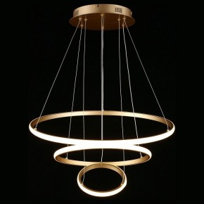 Подвесной светильник Aployt Janina APL.018.13.60 в Озерске - ozersk.mebel24.online | фото 4