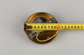 Подвесной светильник Aployt Lora APL.728.06.01 в Озерске - ozersk.mebel24.online | фото 8