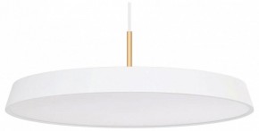 Подвесной светильник Arlight ELEGANT 033924(1) в Озерске - ozersk.mebel24.online | фото