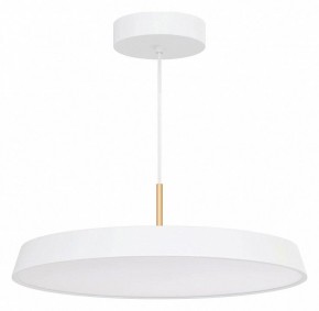 Подвесной светильник Arlight ELEGANT 033924(1) в Озерске - ozersk.mebel24.online | фото 2