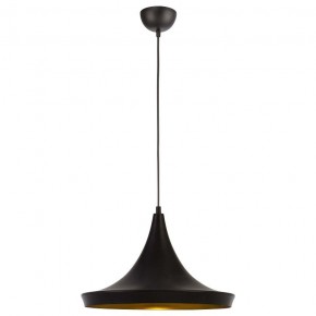Подвесной светильник Arte Lamp Capello A3406SP-1BK в Озерске - ozersk.mebel24.online | фото 2