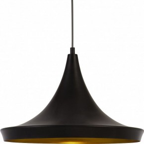 Подвесной светильник Arte Lamp Capello A3406SP-1BK в Озерске - ozersk.mebel24.online | фото 3