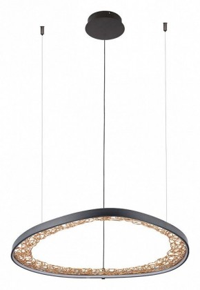 Подвесной светильник Arte Lamp Cinta A1847SP-46BK в Озерске - ozersk.mebel24.online | фото 2