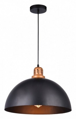 Подвесной светильник Arte Lamp Eurica A4249SP-1BK в Озерске - ozersk.mebel24.online | фото 2