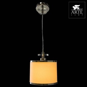 Подвесной светильник Arte Lamp Furore A3990SP-1CC в Озерске - ozersk.mebel24.online | фото 3