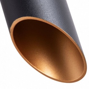 Подвесной светильник Arte Lamp Pilon-Gold A1536SP-1BK в Озерске - ozersk.mebel24.online | фото 4