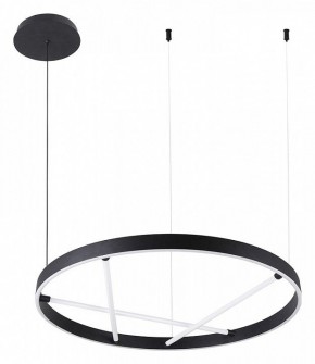 Подвесной светильник Arte Lamp Ricco A1874SP-32BK в Озерске - ozersk.mebel24.online | фото 2