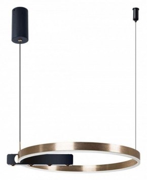 Подвесной светильник Arte Lamp Veritate A2221SP-1BR в Озерске - ozersk.mebel24.online | фото 3