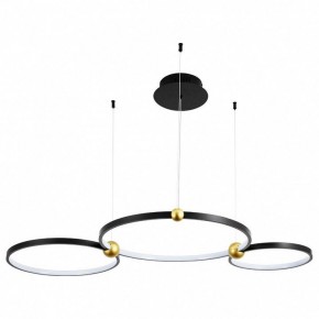 Подвесной светильник Divinare Amadeo 1123/04 SP-75 в Озерске - ozersk.mebel24.online | фото