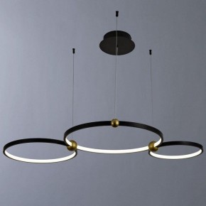 Подвесной светильник Divinare Amadeo 1123/04 SP-75 в Озерске - ozersk.mebel24.online | фото 2