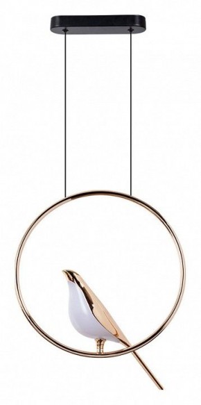 Подвесной светильник Divinare Summer 1188/01 SP-9 в Озерске - ozersk.mebel24.online | фото 2