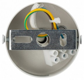 Подвесной светильник Эра PL14 WH Б0061407 в Озерске - ozersk.mebel24.online | фото 5